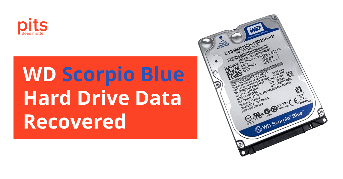 Wd scorpio blue new arrivals