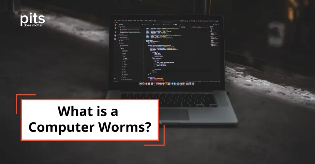 Understanding Computer Worms