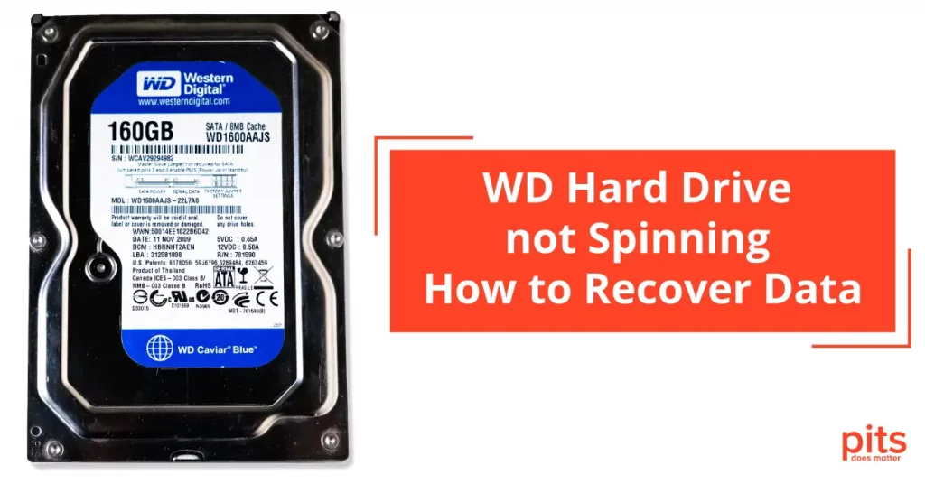WD Hard Drive not Spinning